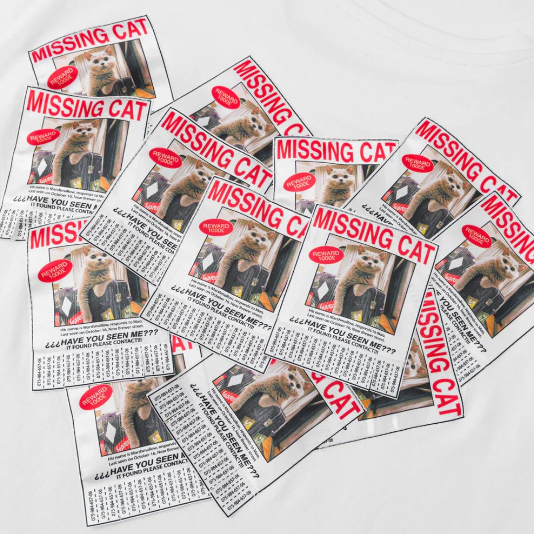 LED Missing Cat Tee