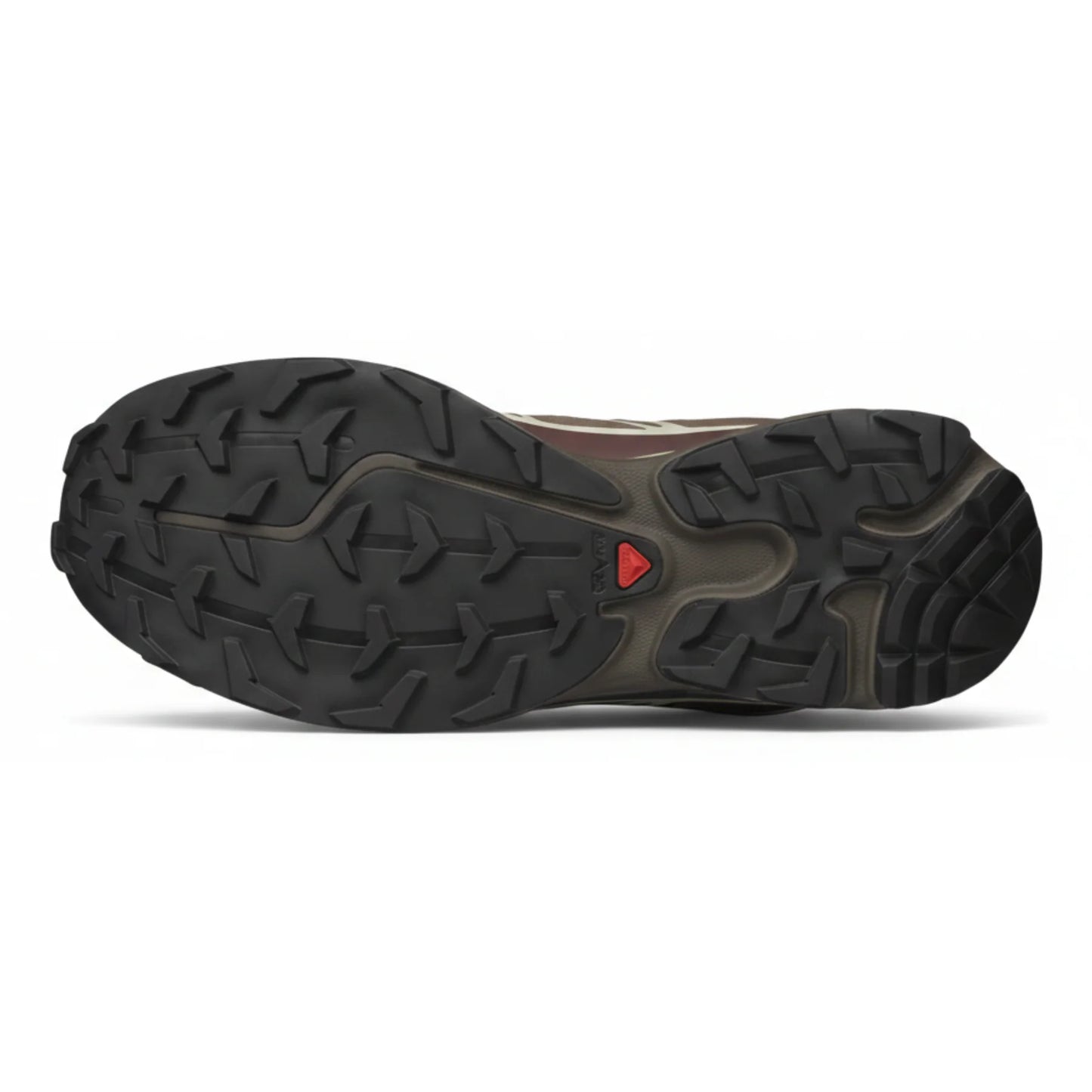 XT-6 - Walnut/Huckleberry/ Urban Chic