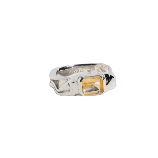 NAST Ring