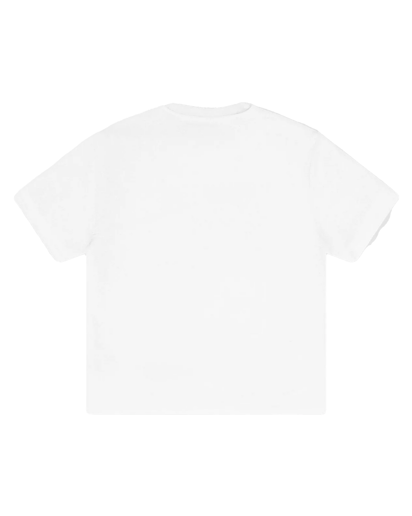 Pellucid T-Shirt