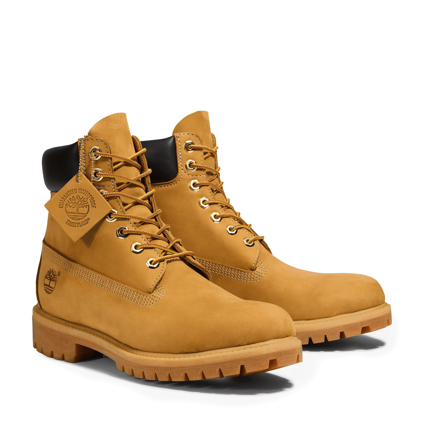 Prem 6 in Bt - Wheat