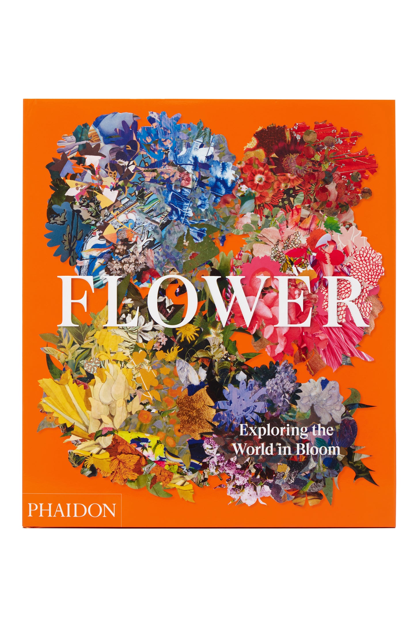 Flower: Exploring the World in Bloom
