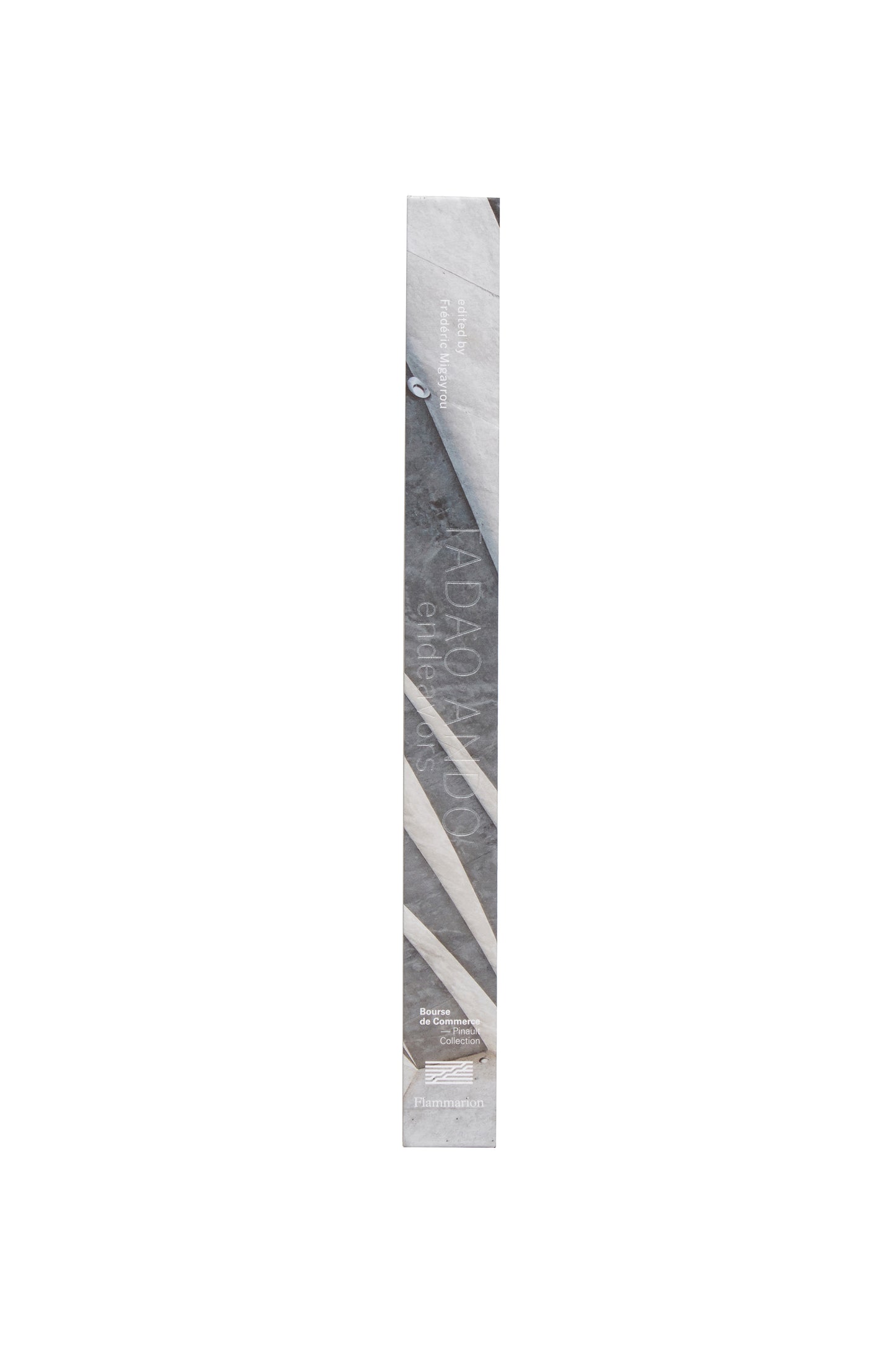 Tadao Ando: Endeavors
