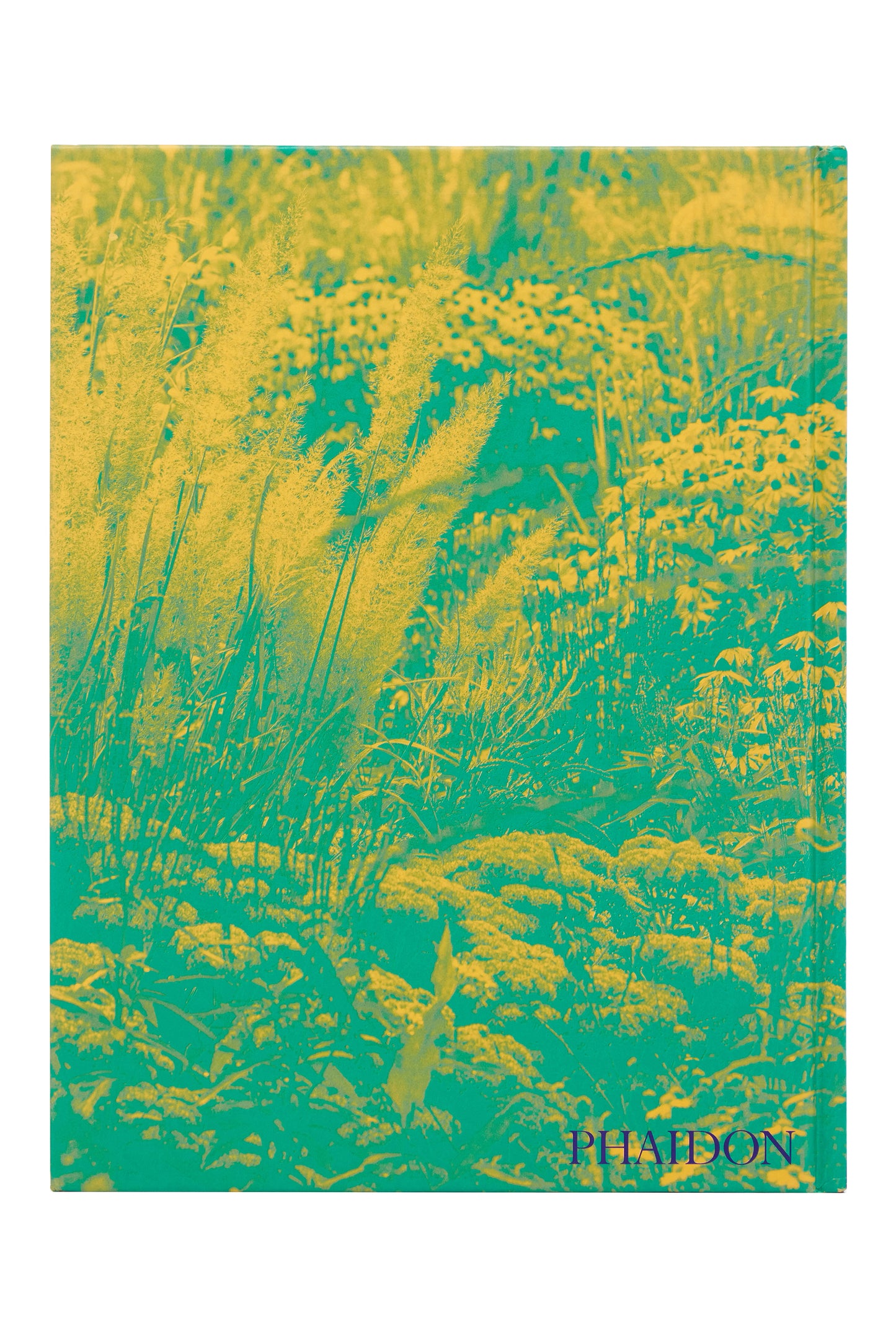 Wild: The Naturalistic Garden