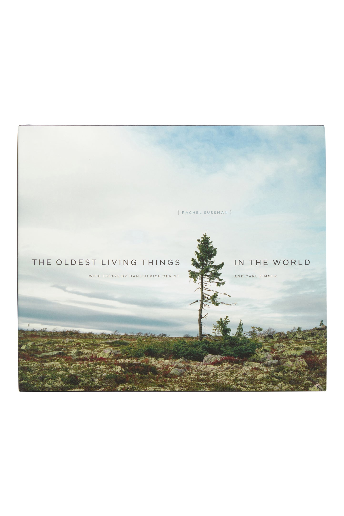 The Oldest Living Things in the World
