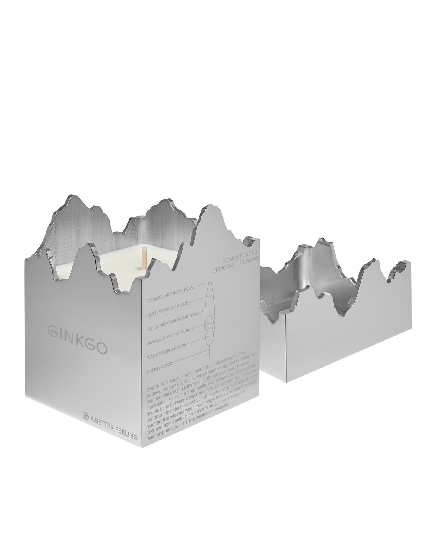 Aluminum Ginkgo Candle