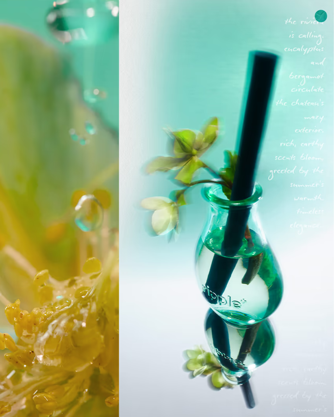 Reed Diffuser - Gardenia, Eucalyptus, Pink Pepper