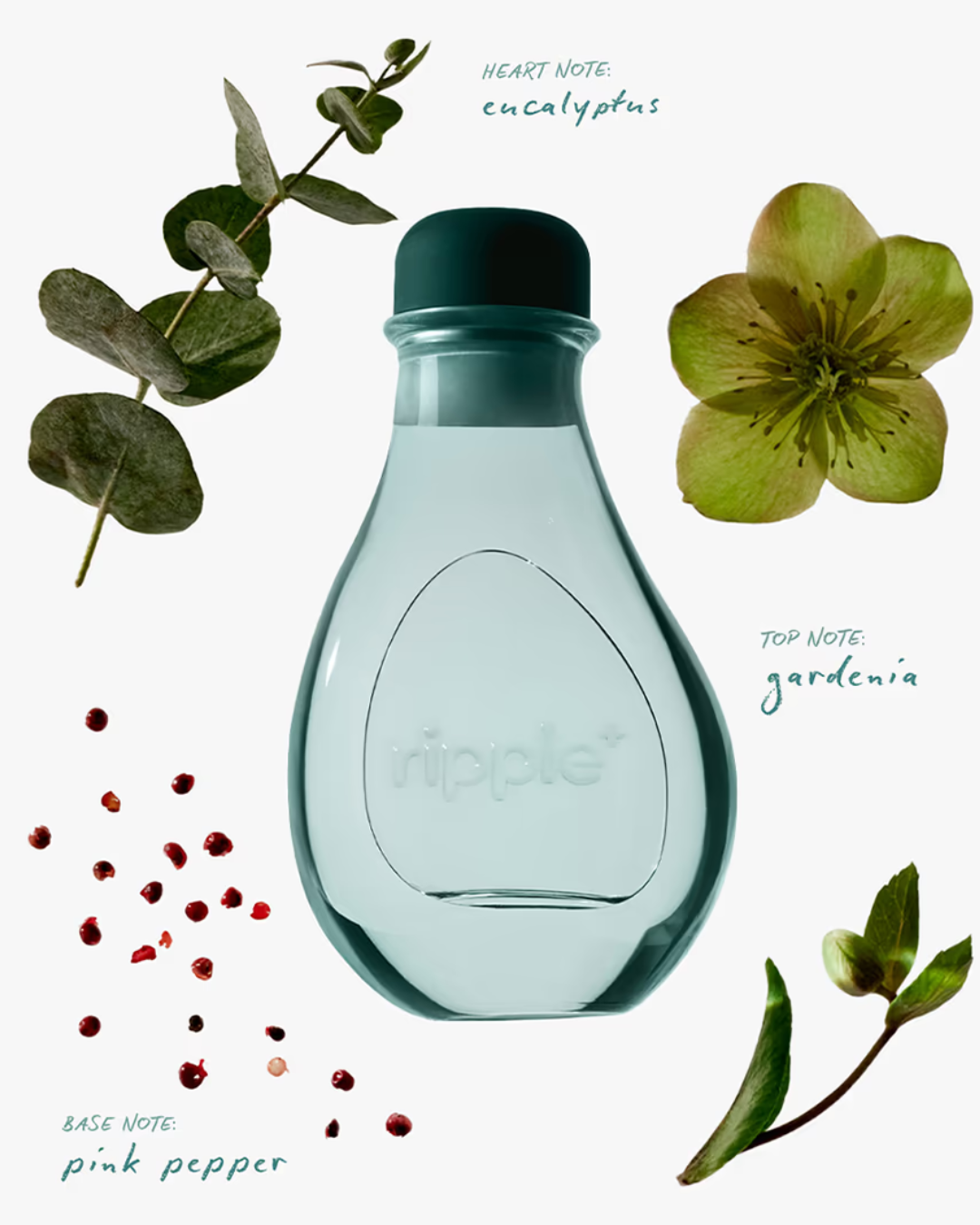 Reed Diffuser - Gardenia, Eucalyptus, Pink Pepper