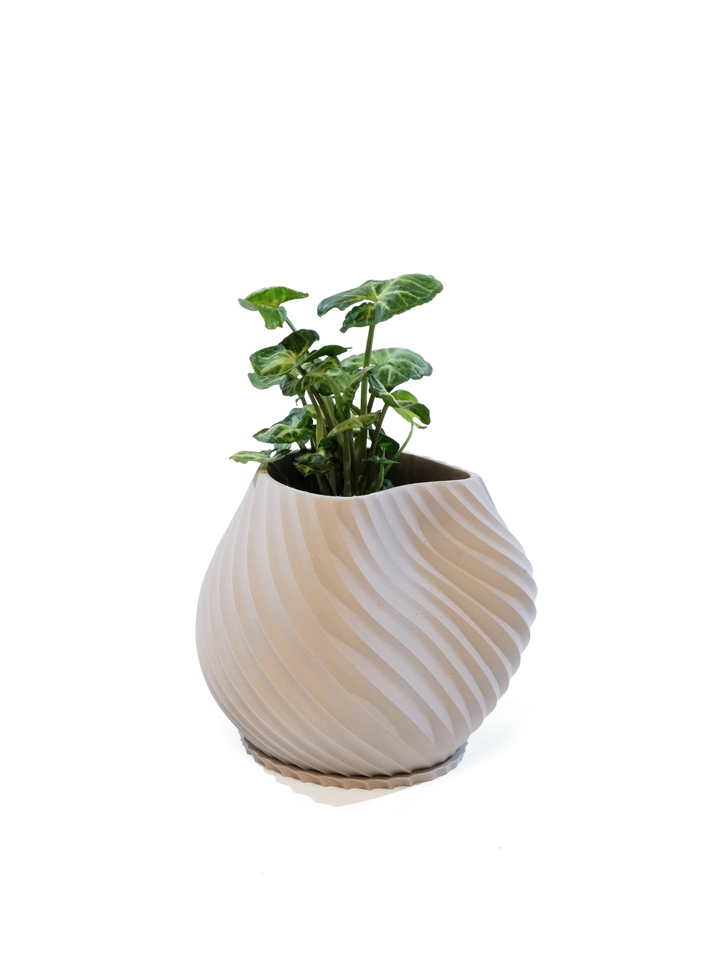 SEA Planter - Off White - Medium