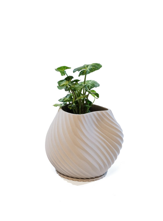 SEA Planter - Off White - Medium
