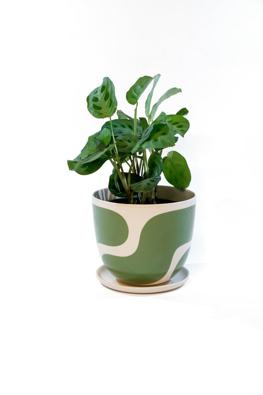 Meadow Color Block Planter Gloss + Saucer