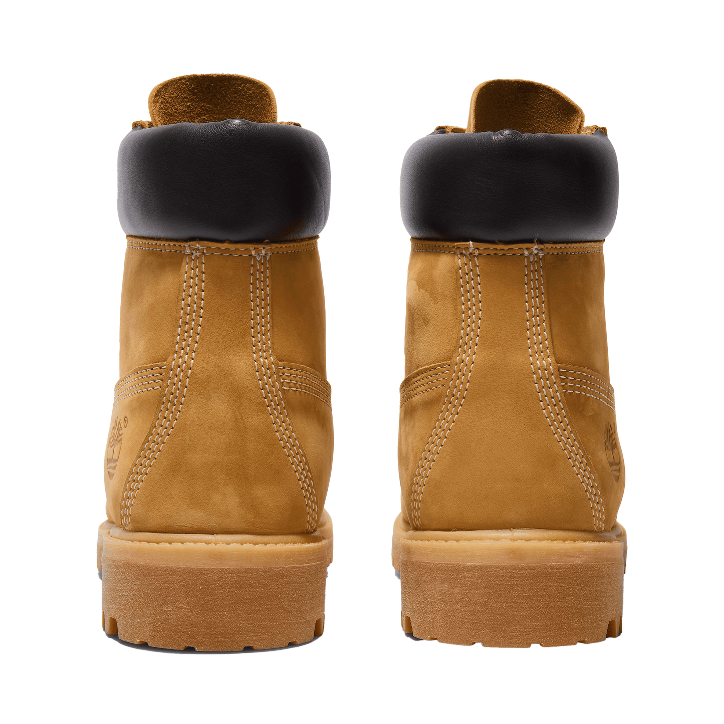 Prem 6 in Bt - Wheat