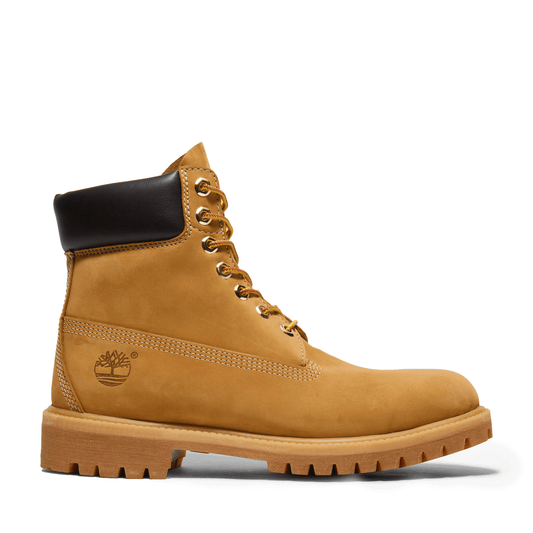 Prem 6 in Bt - Wheat