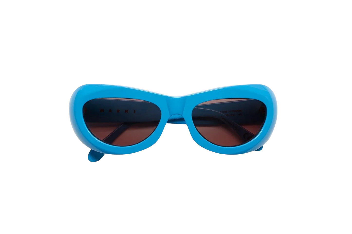 Field of Rushes Sunglasses Blue