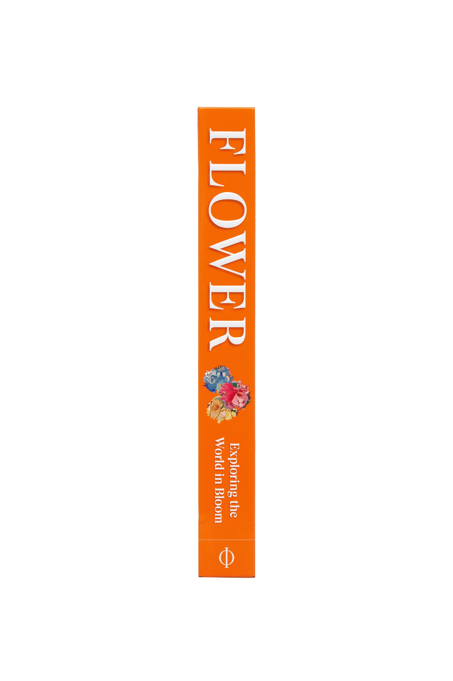 Flower: Exploring the World in Bloom